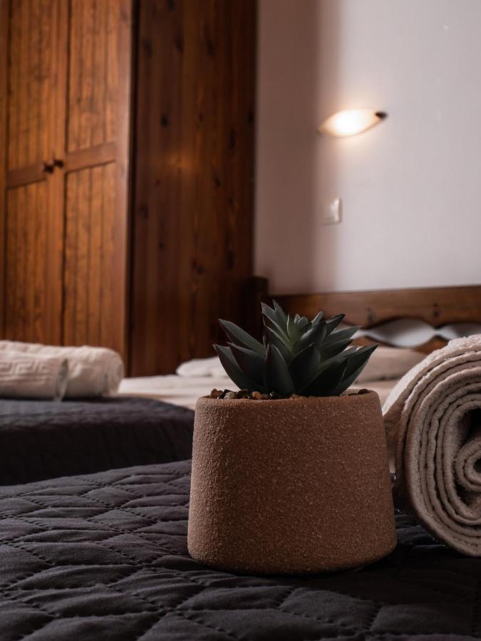 Appartement Kaloudis Family à Ágios Geórgios Extérieur photo